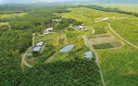 Adsb had put best effort to create high quality of business development. Acquisition Of Ijm Plantations Seen At Rm2 1bil To Rm3 1bil The Star