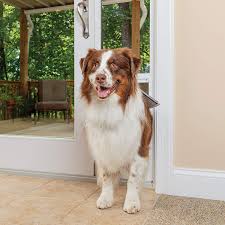 Screen door for large dog diy. Amazon Com Petsafe Freedom Aluminum Patio Panel Sliding Glass Dog And Cat Door Adjustable 76 13 16 Inch To 80 11 16 Inch Large White Pet Door Pet Doors Pet Supplies