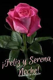 Feliz Noche Flores Bonitas Jardin De Rosas Mejores Flores