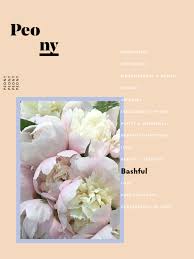 Symbolism Bird Of Paradise Flower Meaning The Meaning Behind Every Flower Decoded Flower Meanings Orchid Varieties Paradise Flowers