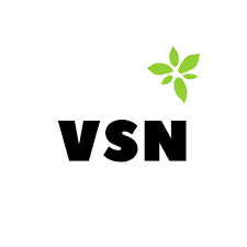 Si je regarde le processus qui tourne lorsque je le lance c'est explorer.exe Vsn The Volunteer Search Network