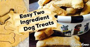 Easy 2 Ingredient Dog Treats Make Your Own Healthy Dog Biscuits Healthy Dog Biscuits Easy Dog Treats Dog Biscuit Recipes
