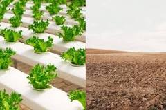 Image result