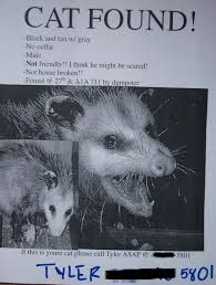 You need to update your card! The 10 Most Awesome Lost Pet Flyers Order 5 000 Flyers Today