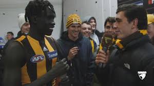 Pwc has been engaged to estimate the total dollar contribution of the four hawthorn football club home and away games played at university of tasmania. Hawthorn Football Club Cj And Mates Post R21 Facebook
