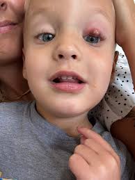 Taylor And Ian Fine added a new photo.