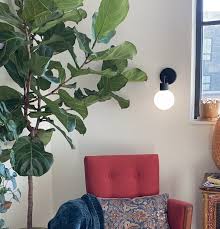Battery Operated Vs Rechargeable Wall