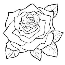 Rose Engraving Large Roses Drawing Rose Coloring Pages Flower Drawing Tutorials