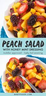 Peach Summer Fruit Salad With Mint Honey Dressing Recipe Fruit Recipes Fresh Fruit Recipes Tropical Fruit Salad Recipe