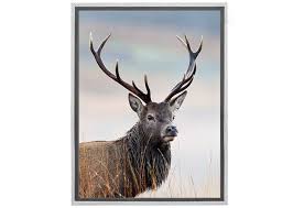 Deer portrait wall art by leo stans : Deer Stag Portrait Canvas Wall Art Print Final Touch Decor