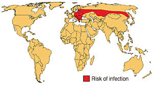 However, the treatment with metformin and tbe did show a significant decrease in the ast levels in comparison to the dc. Geographical Distribution Of Tbe Download Scientific Diagram