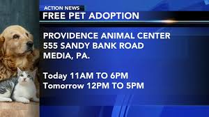 Our experienced philadelphia adoption agency helps connect birth moms and families seeking to adopt. Providence Animal Center In Media Holding Free Pet Adoption Event 6abc Philadelphia