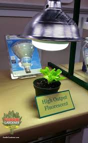 Maybe you would like to learn more about one of these? Grow Lights For Beginners Start Plants Indoors Best Led Grow Lights Grow Lights Indoor Grow Lights
