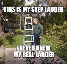 Meet My Step Ladder Funny Humor Hilarious