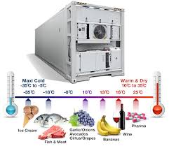 Image result for Refrigerated Cargo