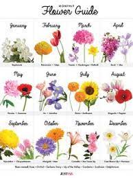 Check spelling or type a new query. Birth Flower April 25 What Is The April Birth Flower Fiesta Flowers Plants April Birth Month Flowers And Their Meanings
