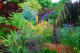 Stacie Crooks Garden Design Drought Tolerant Garden Garden Plots Country Gardening