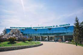 Картинки по запросу новосибирский зоопарк Novosibirskij Zoopark Priostanovil Rabotu Iz Za Pandemii Novosibirsk Rbk