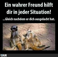 Lustige Zitate Freunde Zitate Und Weisheiten