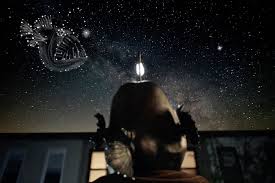 Dog in the Night director/DP Fletcher Wolfe