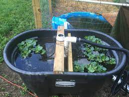 Looking for a good deal on diy duck? Keeping Duck Pond Water Clean With Minimal To No Effort Backyard Chickens Learn How To Raise Chickens