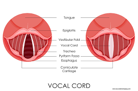 We'll start with some general tips on singing higher without damaging your vocal cords and then get into a couple exercises that'll help you develop your voice. Tone And Resonance Successful Singing