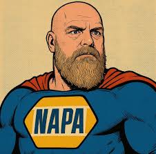 What is happening with the bird and dog in Pokemon Go?