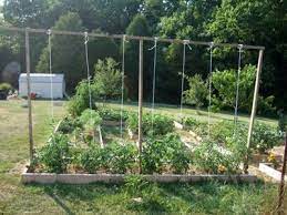 Compare prices & read reviews. Simple Green Frugal Co Op Many Ways To Support Tomatoes Tomato Trellis Tomato Plants Support Cucumber Trellis