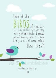Look At The Birds Of The Air Nlt Pin On Bible