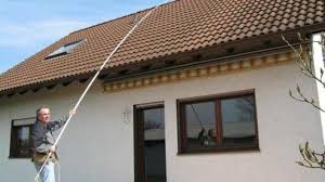 Moose Flechten Und Algen Von Dach Und Fassade Entfernen Frag Mutti Dach Reinigen Fassade Haus Haus Reparatur