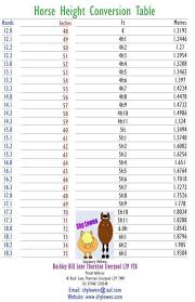 Horseriding Horserider Equine Measuring A Horse Horse