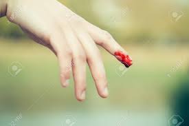 Won't make it any better. Index Finger On Human Hand Or Palm Is Cut Hurt And Bleeding With Stock Photo Picture And Royalty Free Image Image 65796207