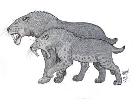 Smilodon By Hodarinundu Smilodon Prehistoric Animals Ancient Animals