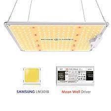 We did not find results for: The Best Cheap Led Grow Lights For Cannabis 2021 Update