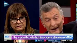 Pablo Walter: "Hay unanimidad en la decisión de apoyar al gobierno de Milei"