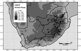 Image result for Crabbea cirsioides