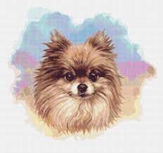 We did not find results for: Pomeranian 2 Cross Stitch Pattern Pdf