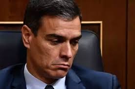 Dana Ries's Instagram, Twitter & Facebook