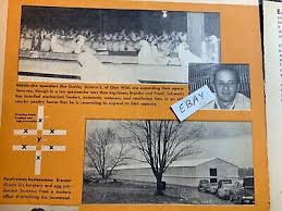 1963 Magazine Article. Max Brender. Liberty, New York. Egg Farmer. Poultry
