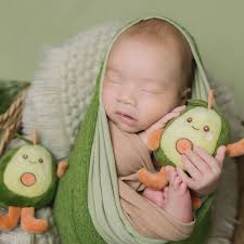 Alan Chua (@the_alan_studio) • Instagram photos and videos