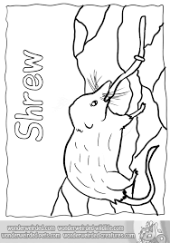 Discover 5 ayeaye designs on dribbble. Download 139 Mammals Shrew Coloring Pages Png Pdf File Black T Shirt Mockup Psd Free Download All Free Mockups