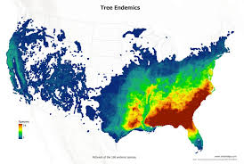Botanists, zoologists, and natural historians have all been captivated by the rarest and most. The Diversity Of Trees In The Us Mapped Vivid Maps Species This Is Us Tree