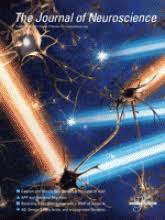 Proprioceptive Sensory Neuropathy In Mice With A Mutation In The Cytoplasmic Dynein Heavy Chain 1 Gene Journal Of Neuroscience Pemphigoid is a rare autoimmune disorder that can develop at any age, including in kids, but that most often affects the. proprioceptive sensory neuropathy in
