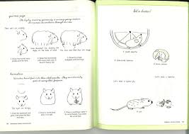 illustration school let s draw cute animals illustration let it be cute animals