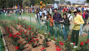 Rose Festival Will Be Organized On February 28 29 And March 1 Hello Tricity Festival, fairs and celebration events in chandigarh. rose festival will be organized on