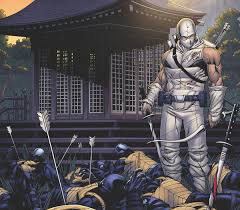 Snake eyes and storm shadow. Snake Eyes And Storm Shadow 21 Razorfine Review