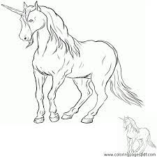 Realistic unicorn coloring pages are a fun way for kids of all ages to develop creativity focus motor skills and color recognition. Coloring Page Of A Realistic Unicorn Drawing