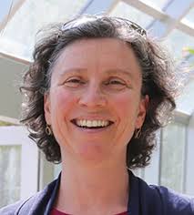 Bellevue allows construction to proceed