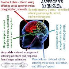 Asperger syndrome (as) is a developmental disorder. Pin On Diversity Bullying
