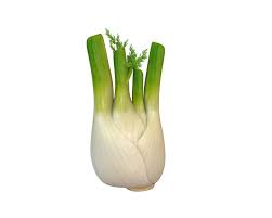 Fennel 3d Model In 2020 3d Model Low Poly 3d Models Model